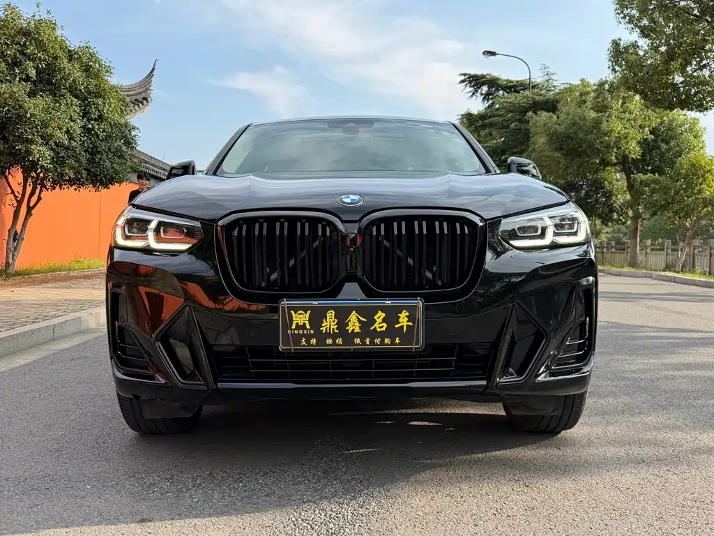 BMW X4 — миниатюра 2