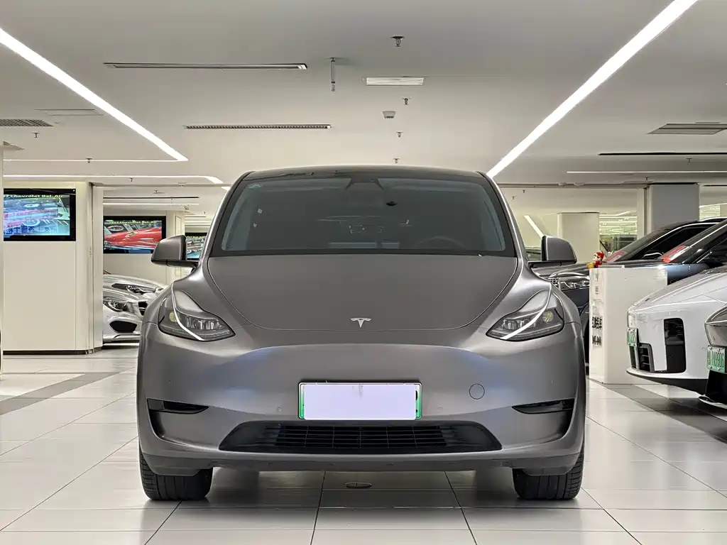Tesla Model Y — миниатюра 2