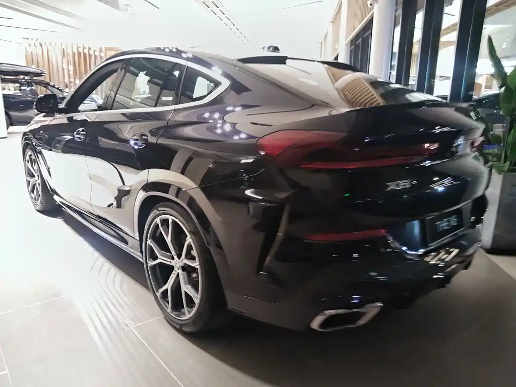 BMW X6 — миниатюра 5
