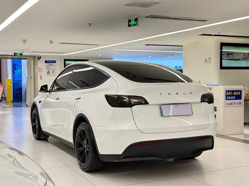 Tesla Model Y — миниатюра 5