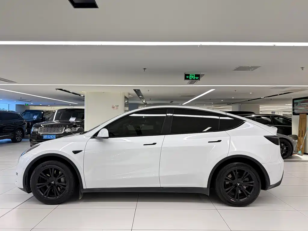 Tesla Model Y — миниатюра 4