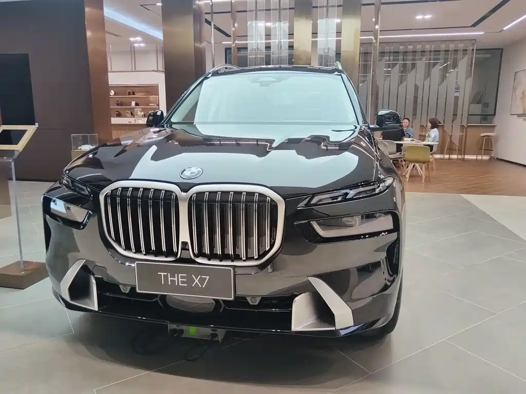 BMW X7 — миниатюра 2