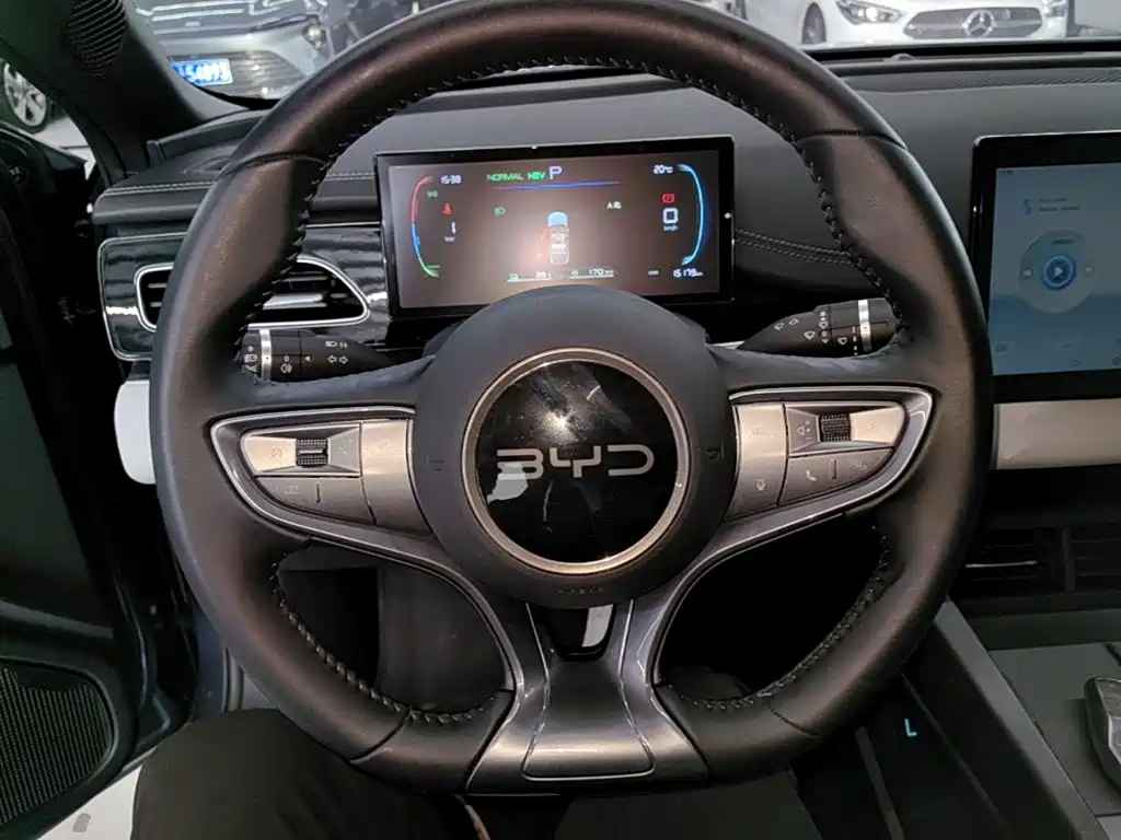 BYD Seal 06 — миниатюра 11