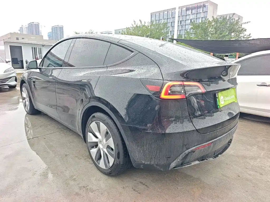 Tesla Model Y — миниатюра 5