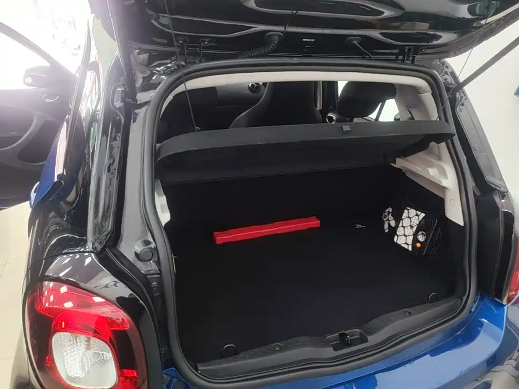 smart Smart Forfour — миниатюра 19