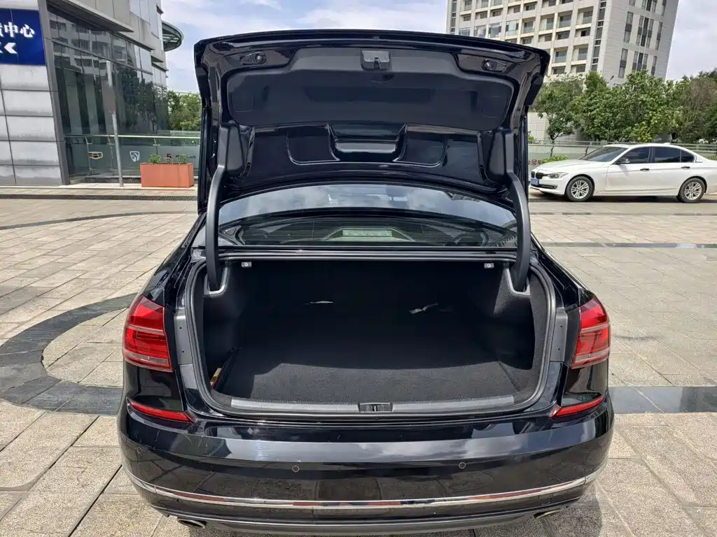 Volkswagen Passat — миниатюра 18