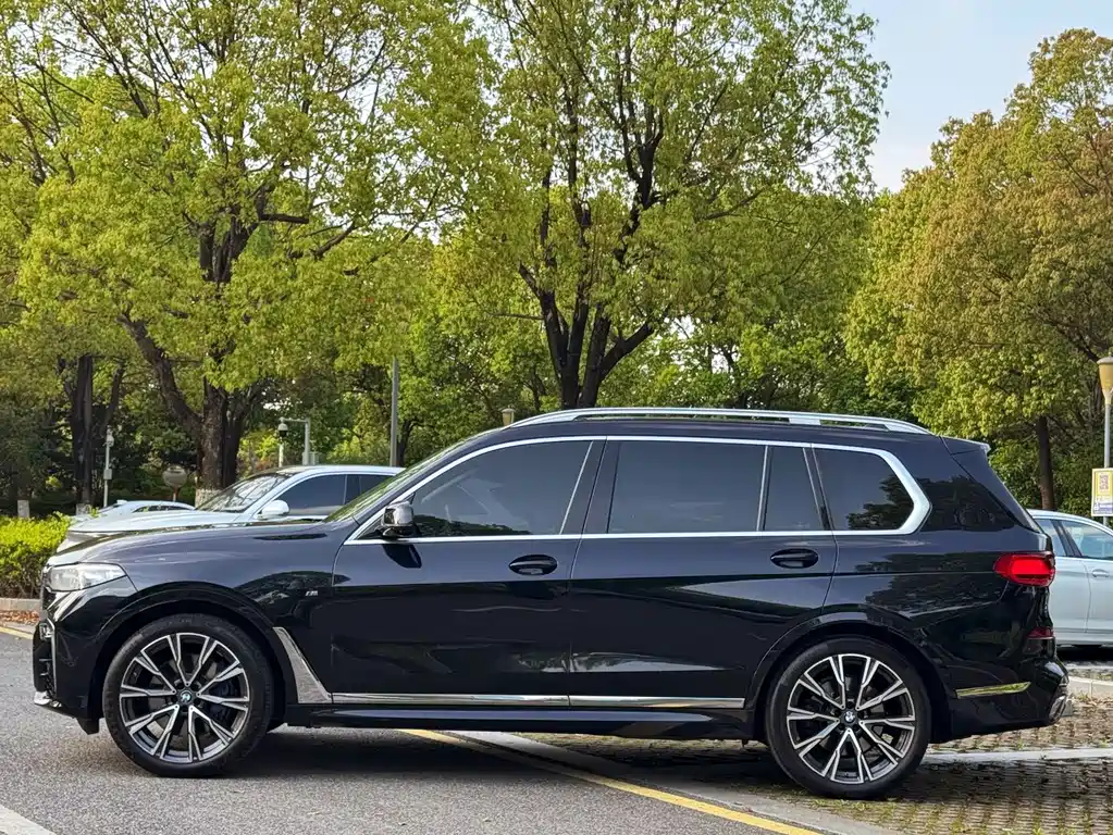 BMW X7 xDrive40i Executive Type M Sport Package, фото 6