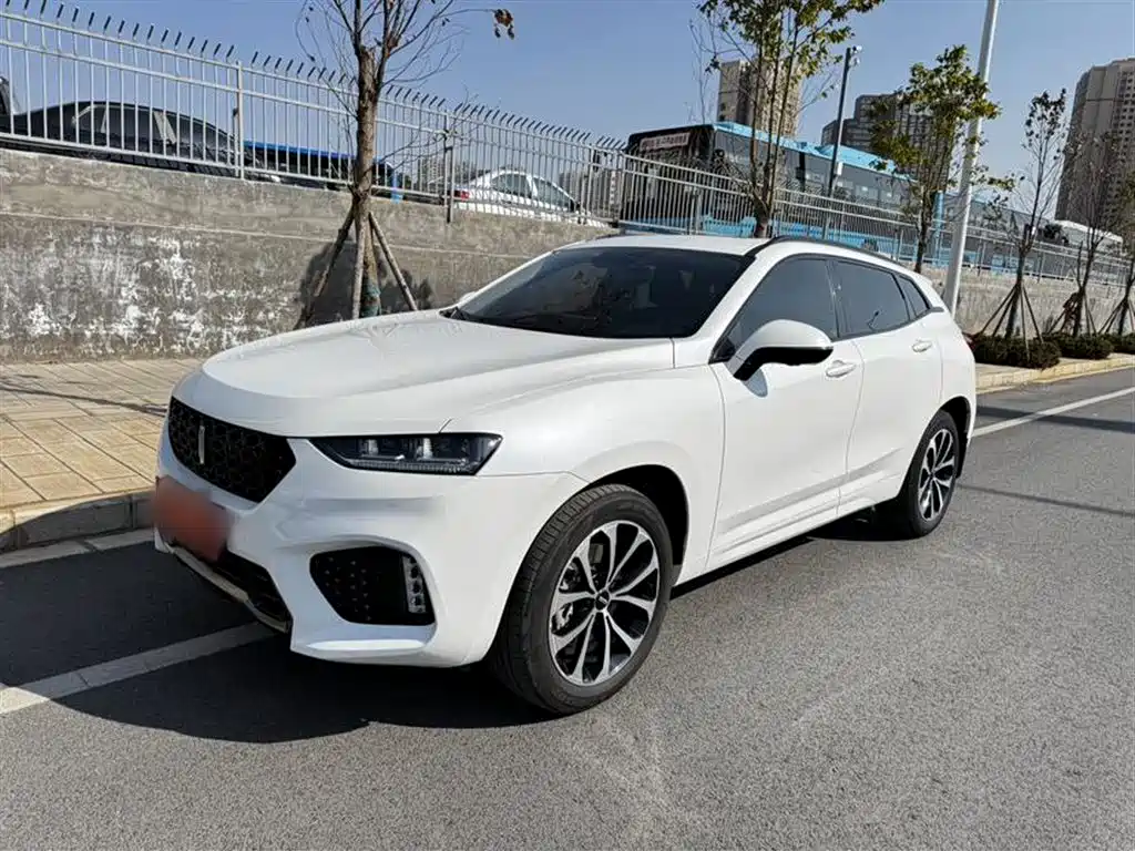 WEI PAI WEI BRAND VV7