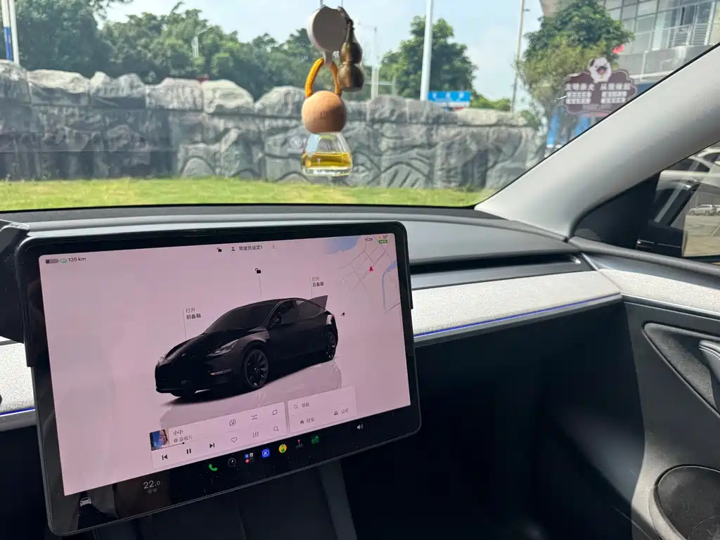 Tesla Model Y — миниатюра 20