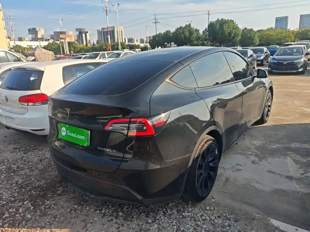 Tesla Model Y — миниатюра 7