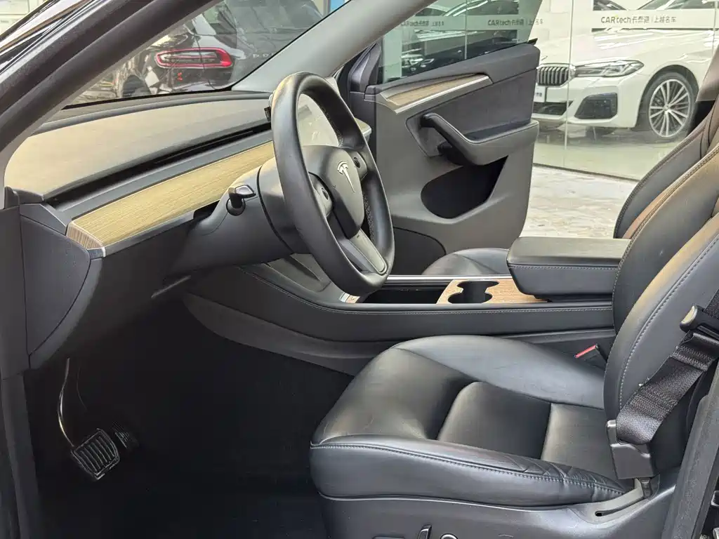 Tesla Model Y — миниатюра 10