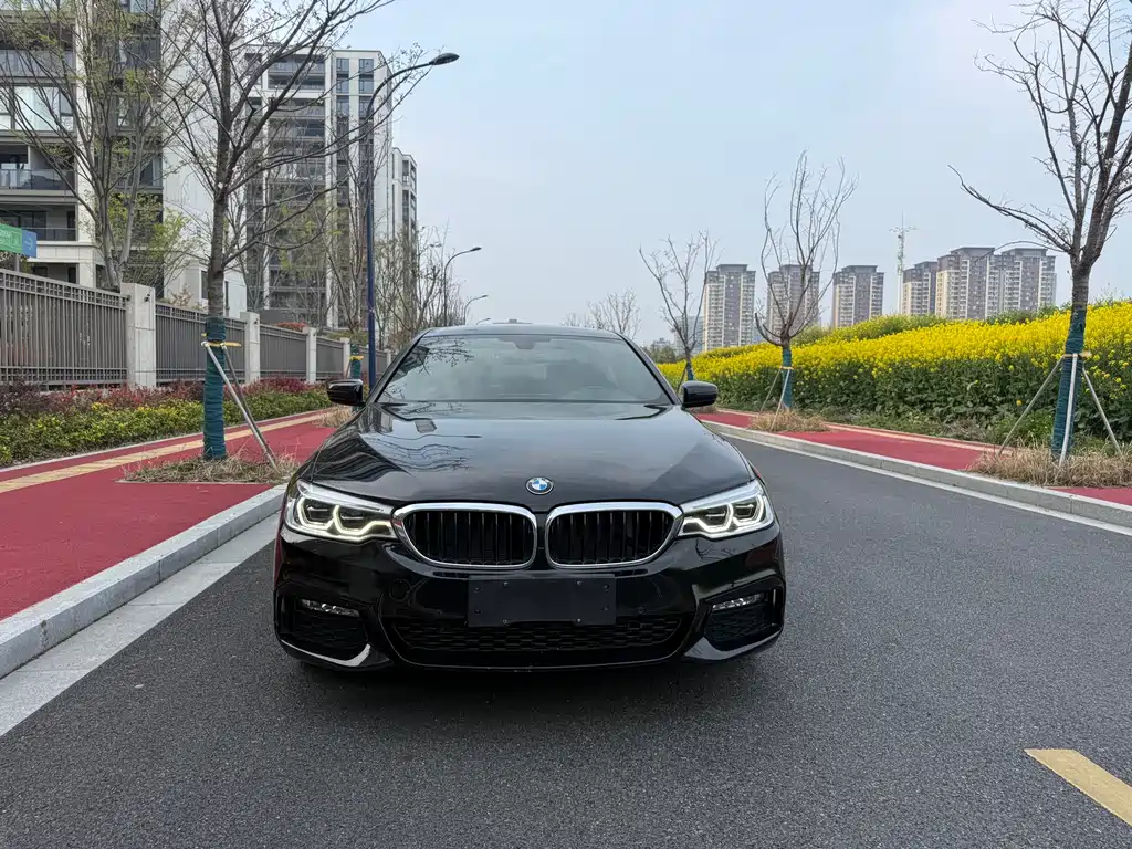 BMW 5 Series 5 2018 530Li Lead M Sport