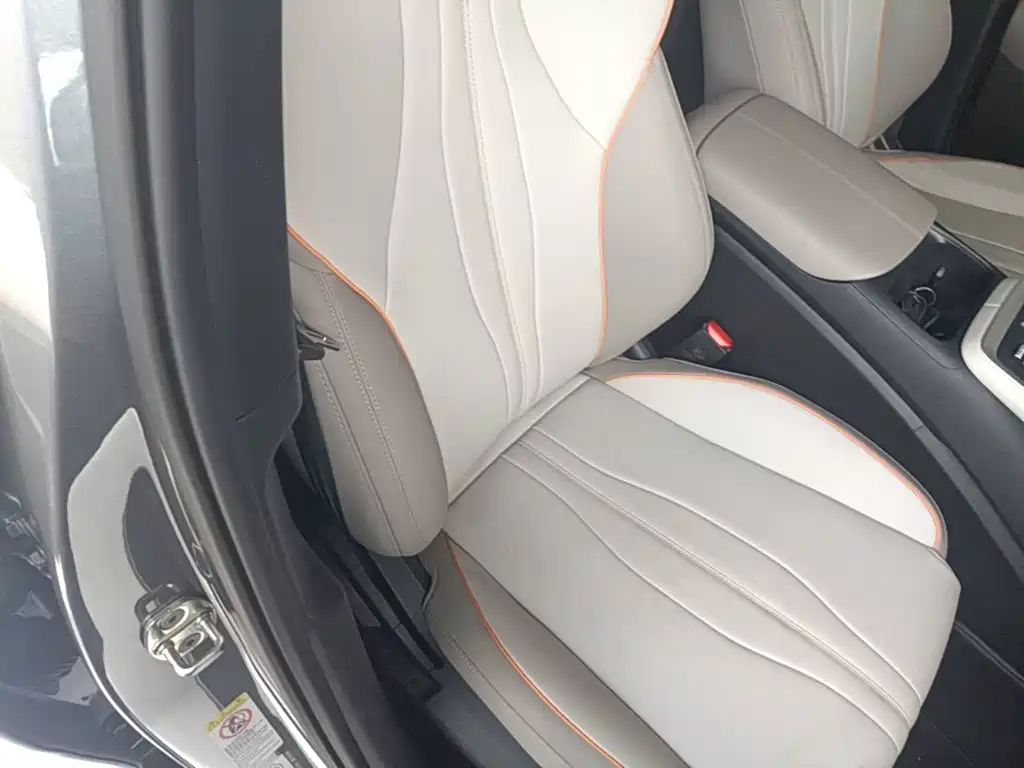 BYD Pro New Energy — миниатюра 25