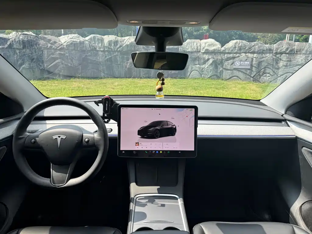 Tesla Model Y — миниатюра 10