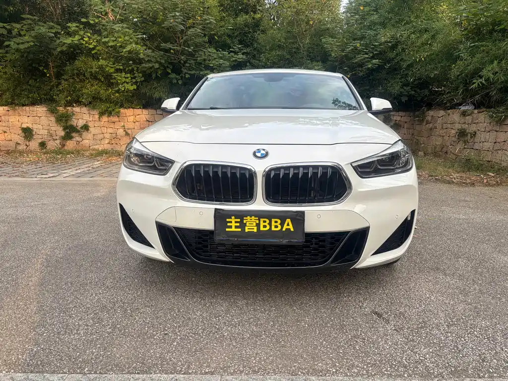 BMW X2 — миниатюра 2