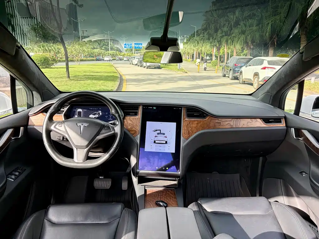 Tesla Model X — миниатюра 14