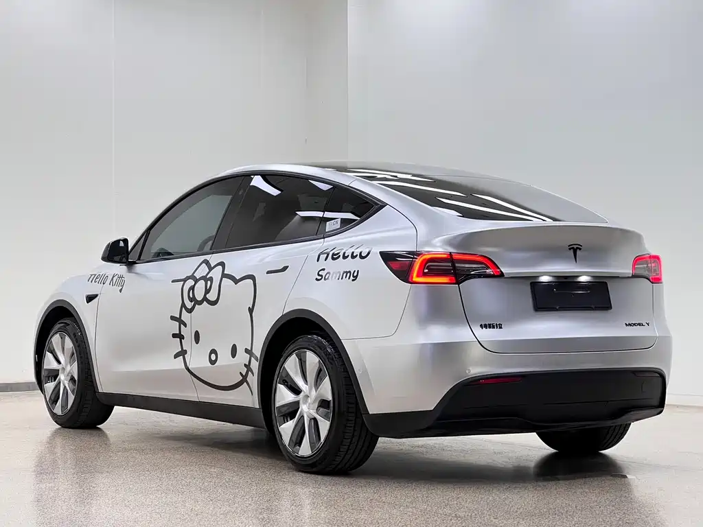 Tesla Model Y — миниатюра 4