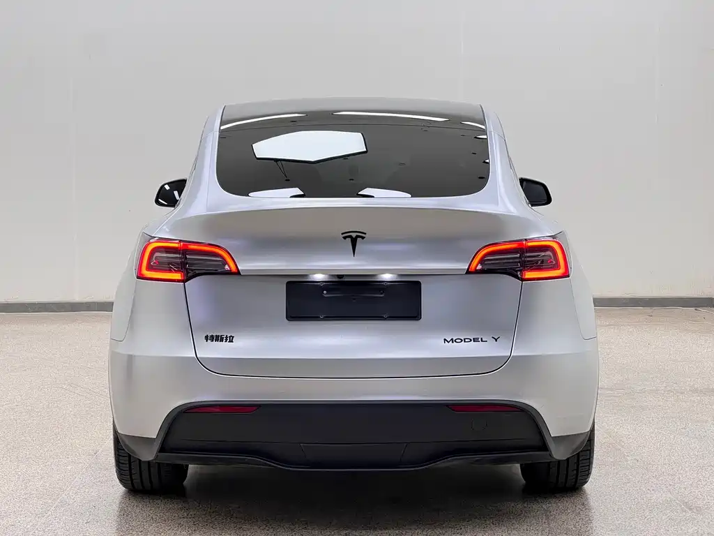 Tesla Model Y — миниатюра 5