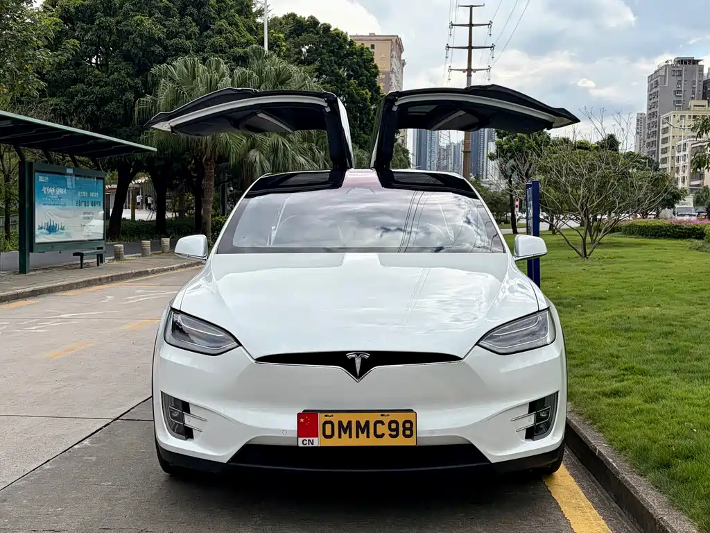 Tesla Model X — миниатюра 2