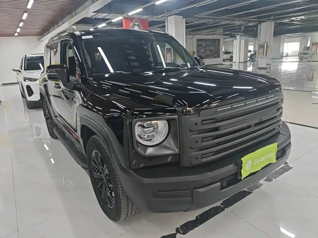 Haval Menglong New Energy — миниатюра 4