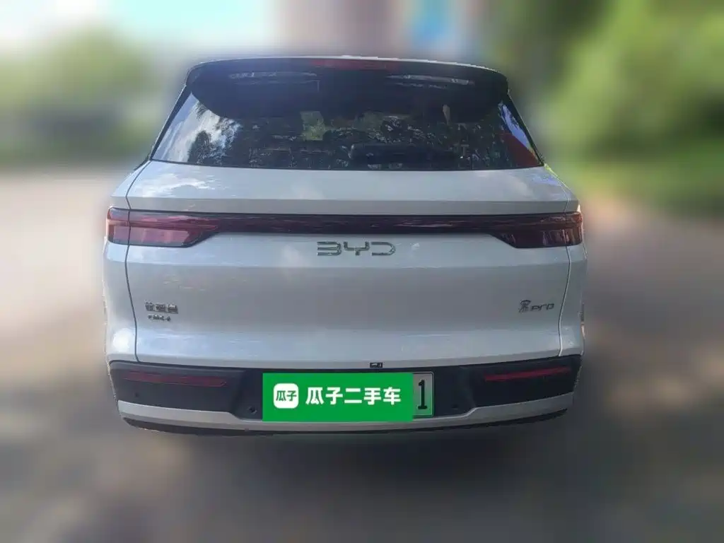 BYD Pro New Energy — миниатюра 3
