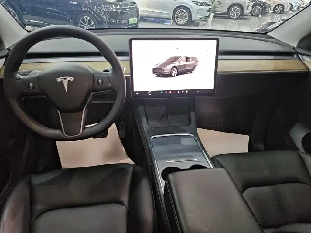 Tesla Model Y — миниатюра 10