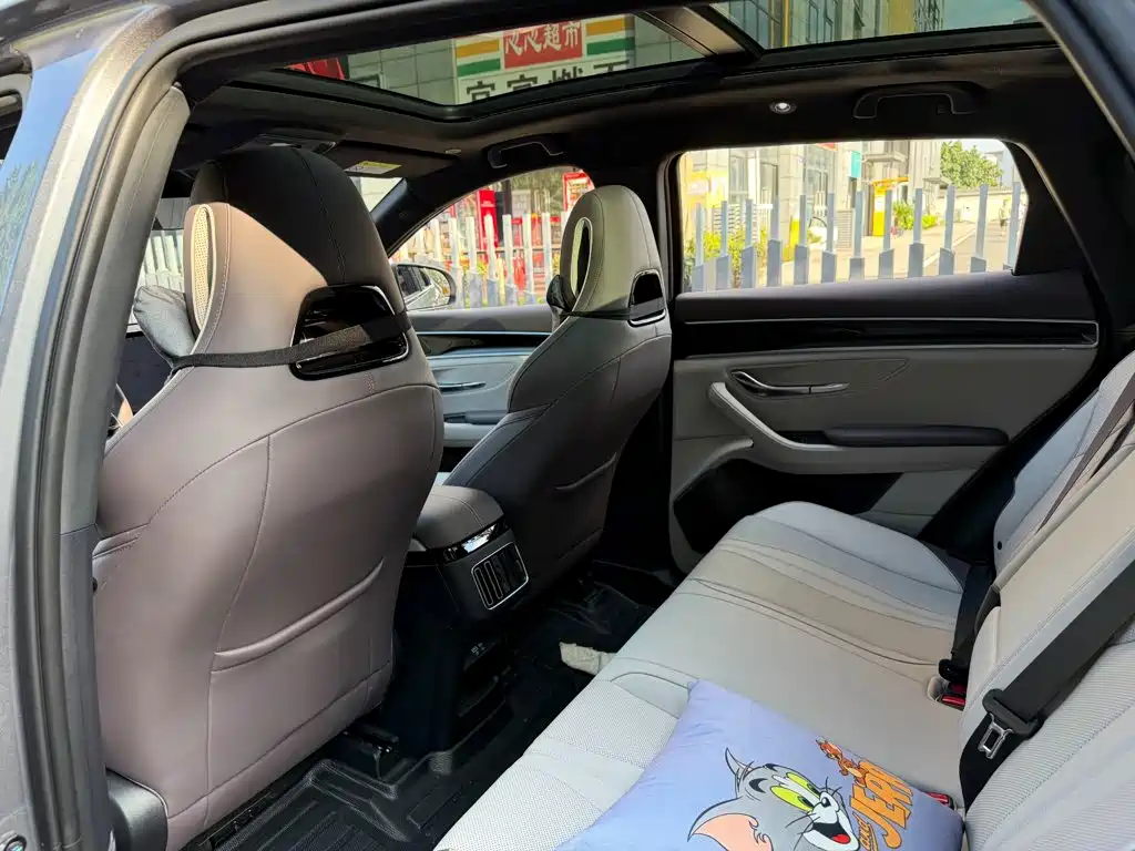 BYD PLUS New Energy — миниатюра 11
