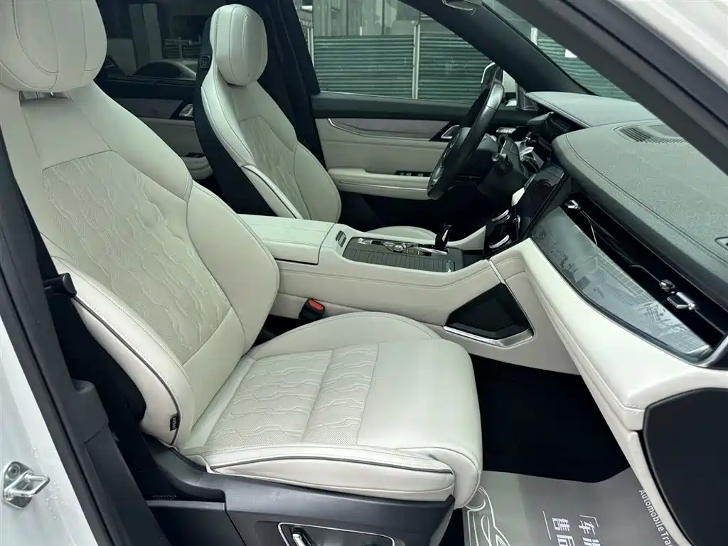 Lynk & Co 09 EM-P 2021 2.0T PHEV Ultra мест