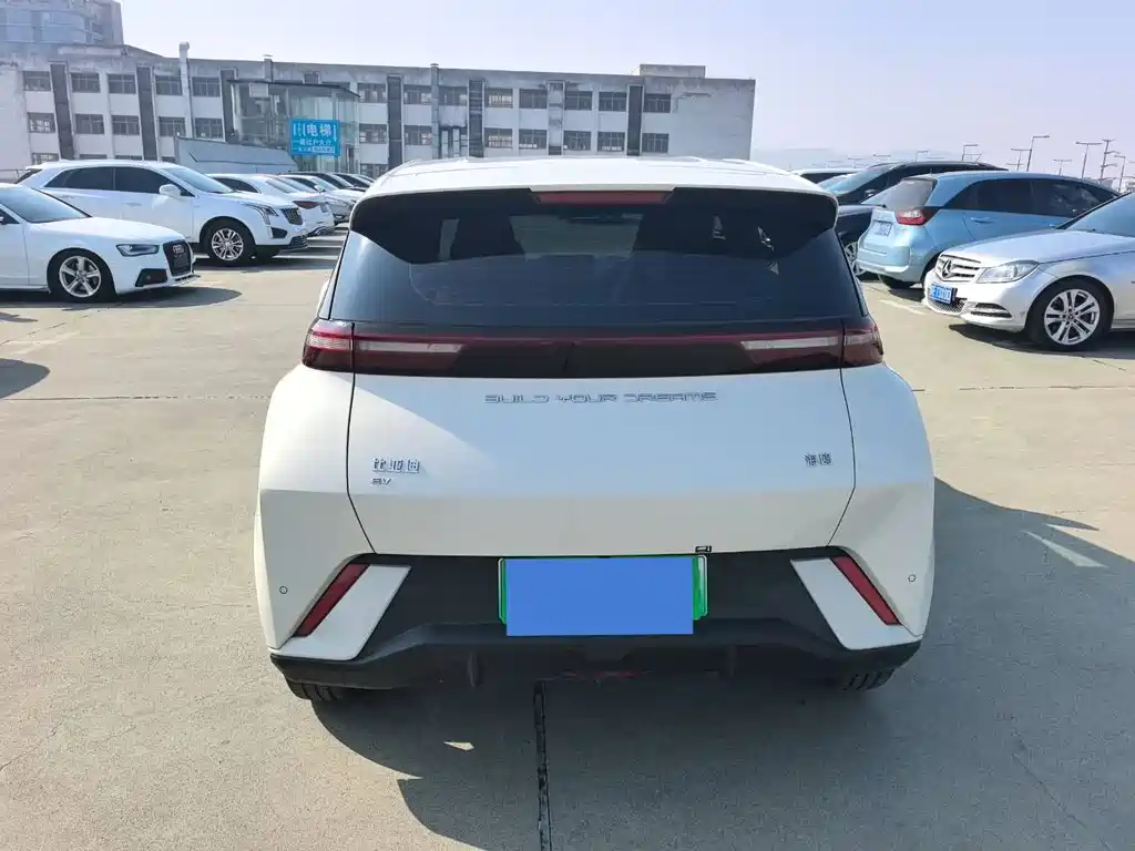 BYD SEAGULL