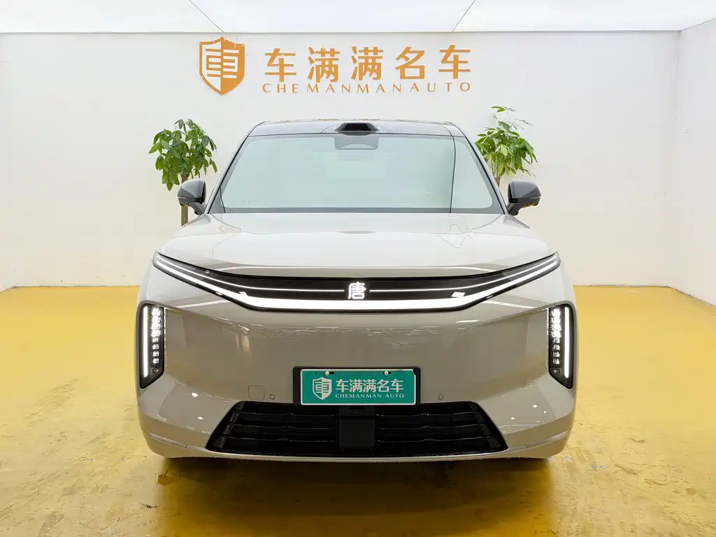 BYD Datang — миниатюра 2