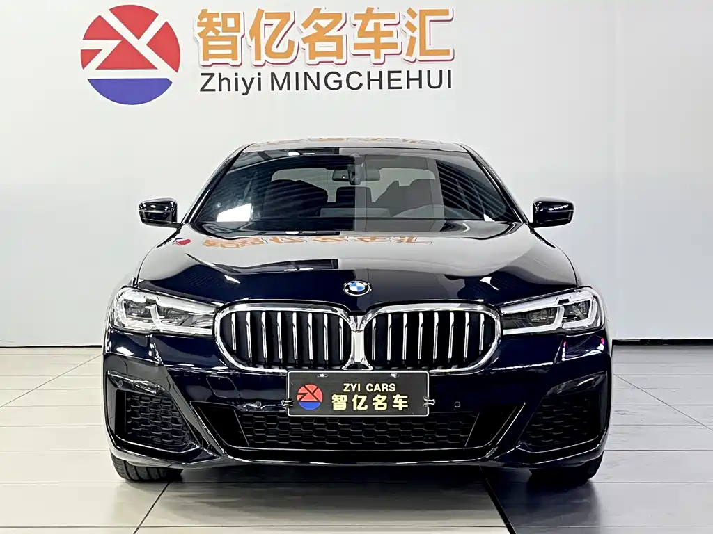 BMW 5 Series — миниатюра 2