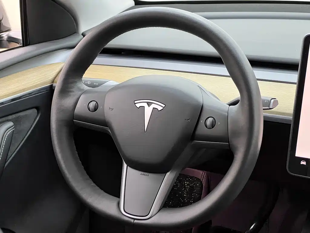 Tesla Model Y — миниатюра 23