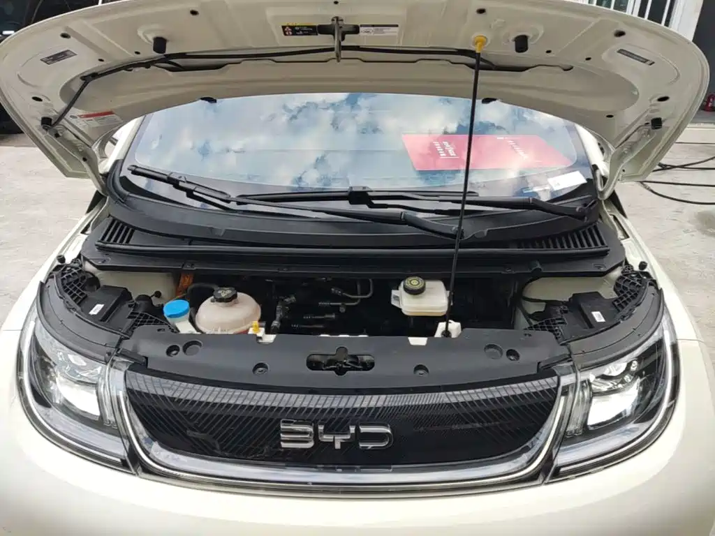 BYD Dolphin — миниатюра 20