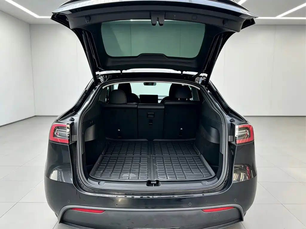 Tesla Model Y — миниатюра 22