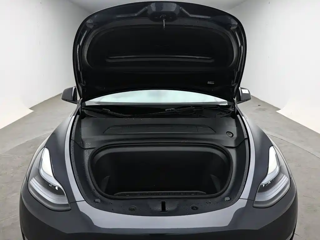 Tesla Model Y — миниатюра 17
