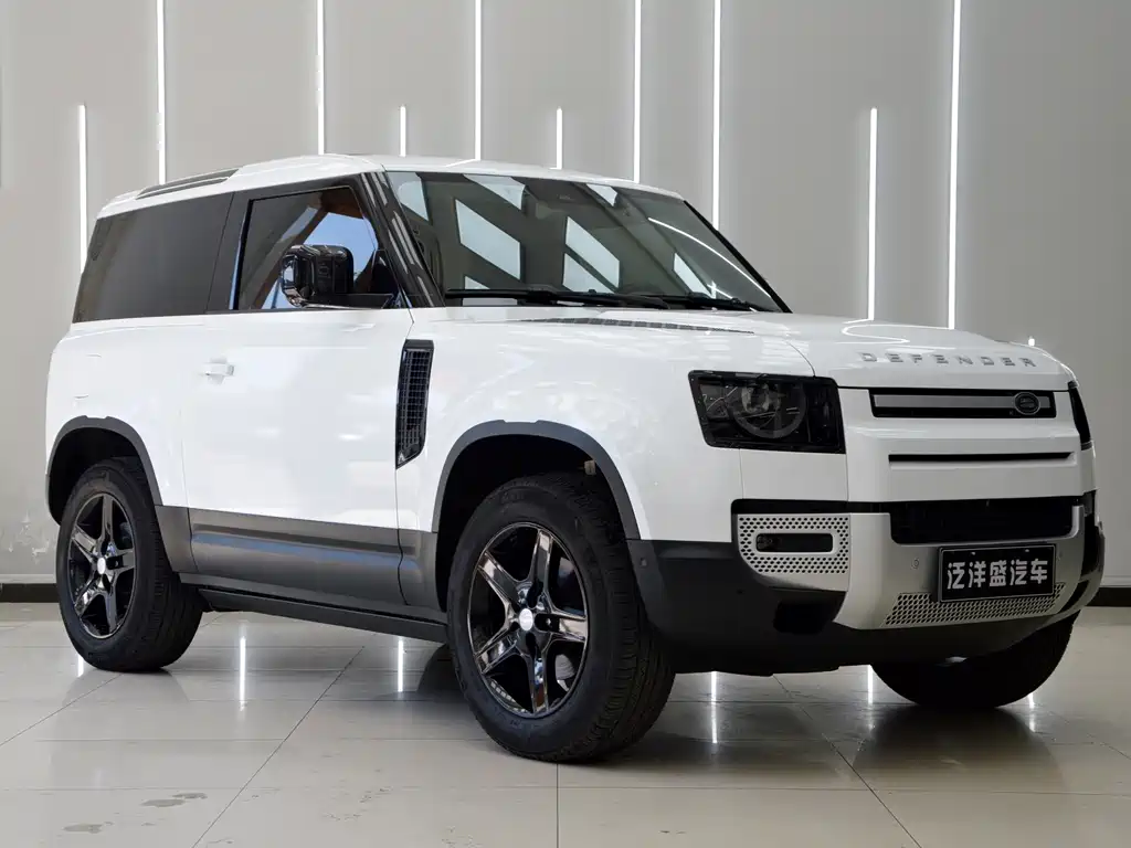 Land Rover Defender Facelift 90 2.0T P300 SE, фото 3
