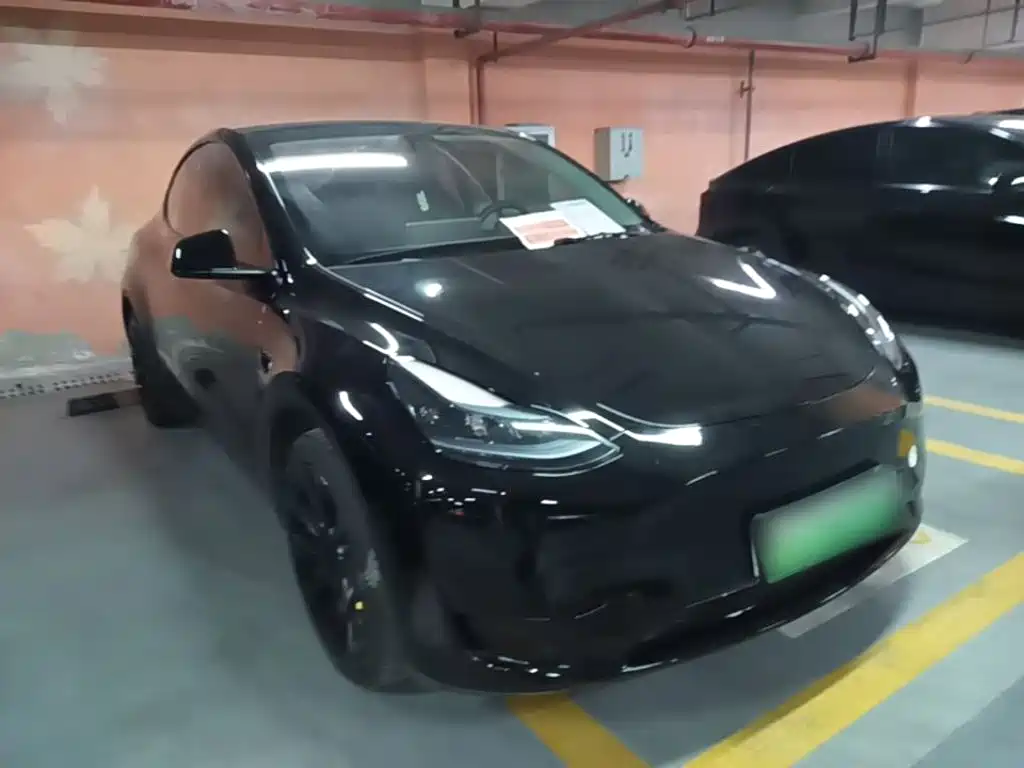 Tesla Model Y — миниатюра 4