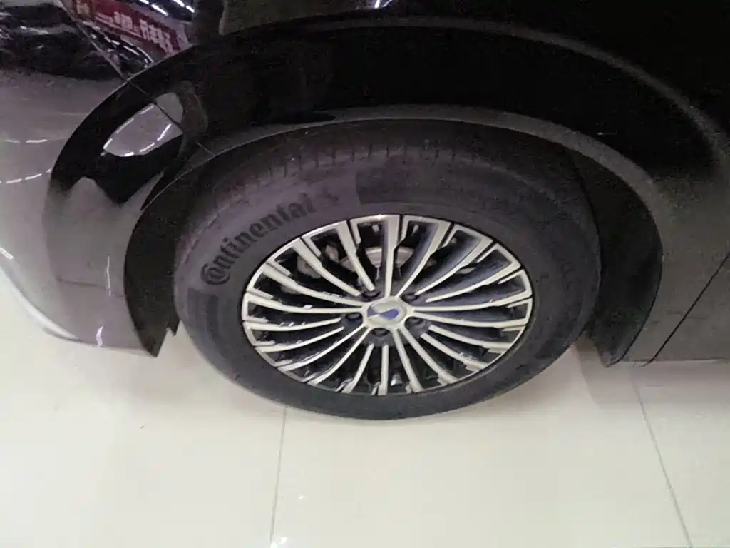 Denza Denza D9 — миниатюра 23