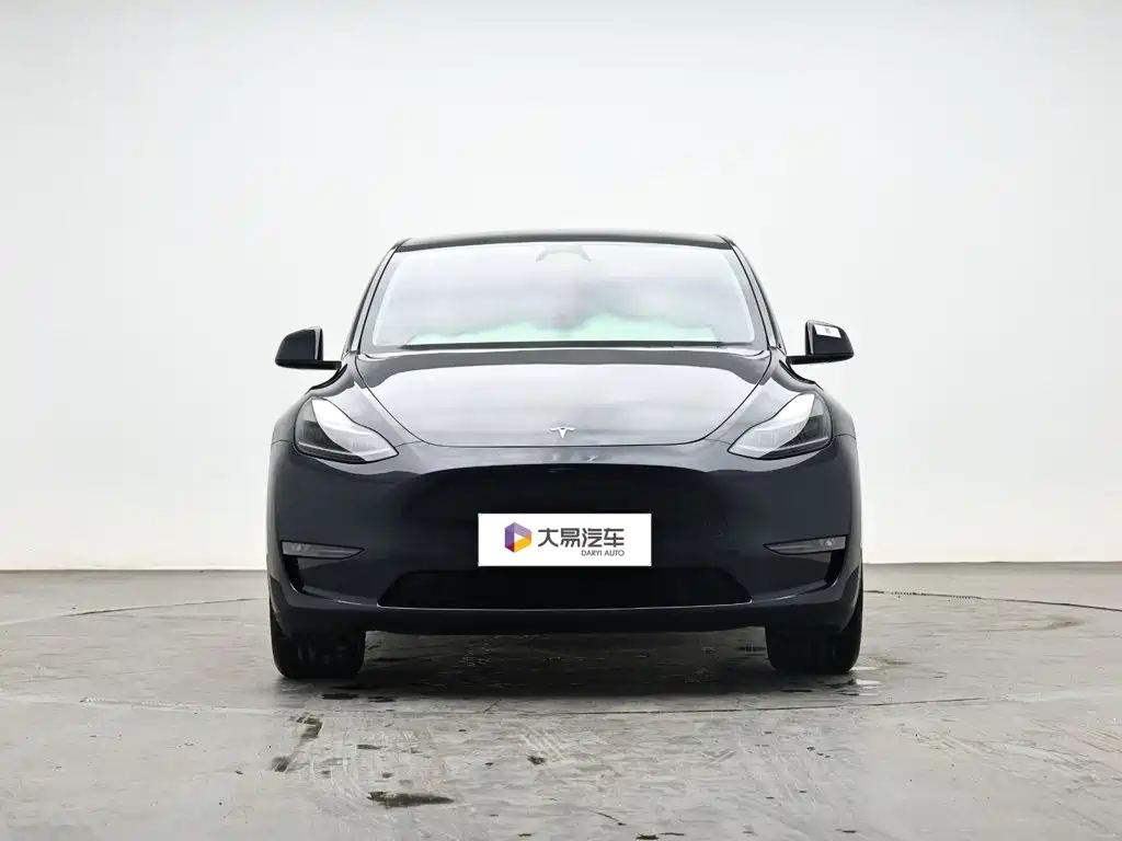 Tesla Model Y — миниатюра 2