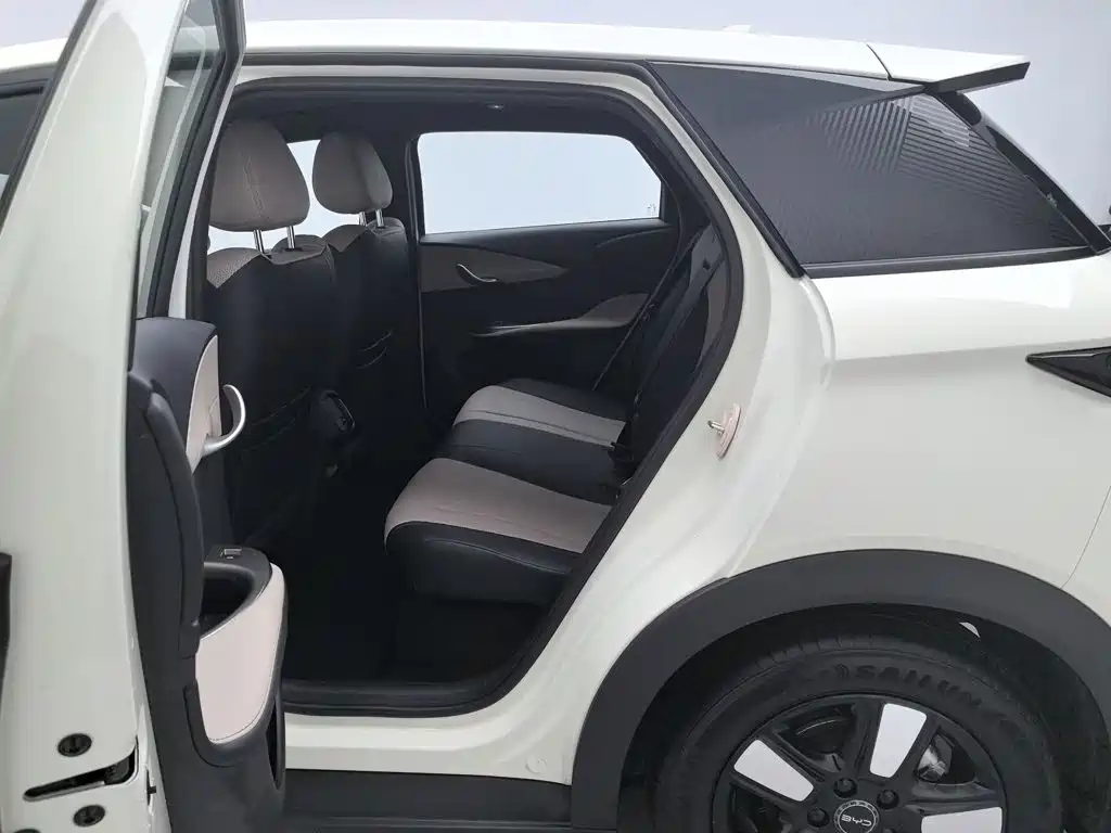 BYD Dolphin — миниатюра 15