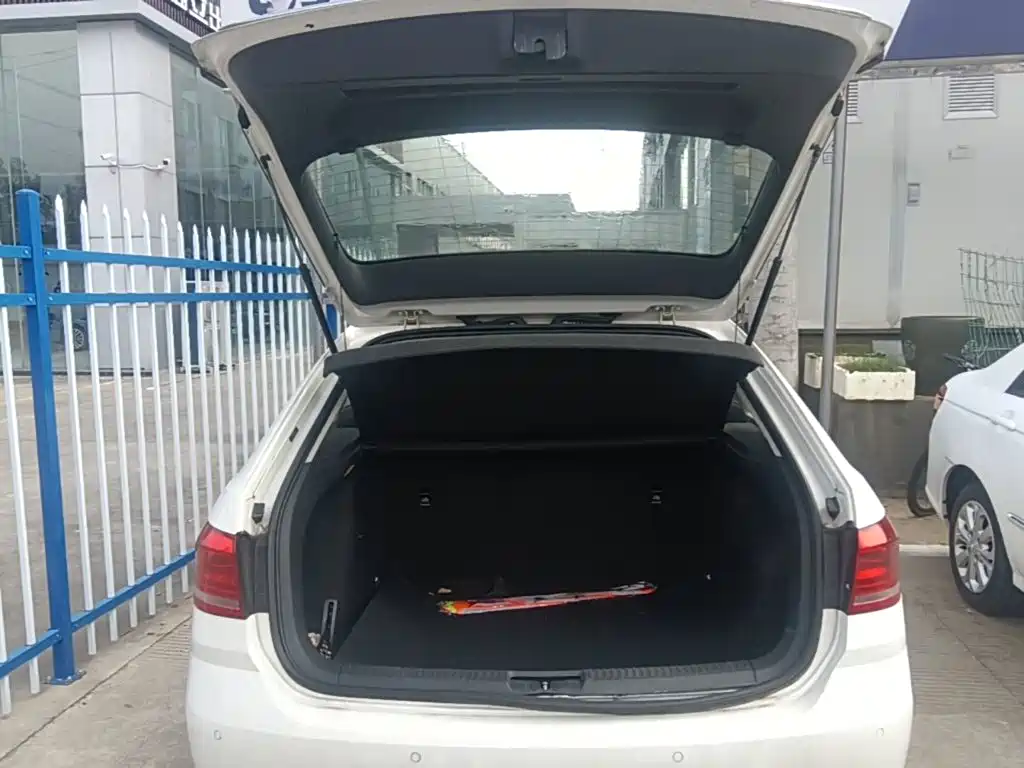 Volkswagen Gran Lavida — миниатюра 19