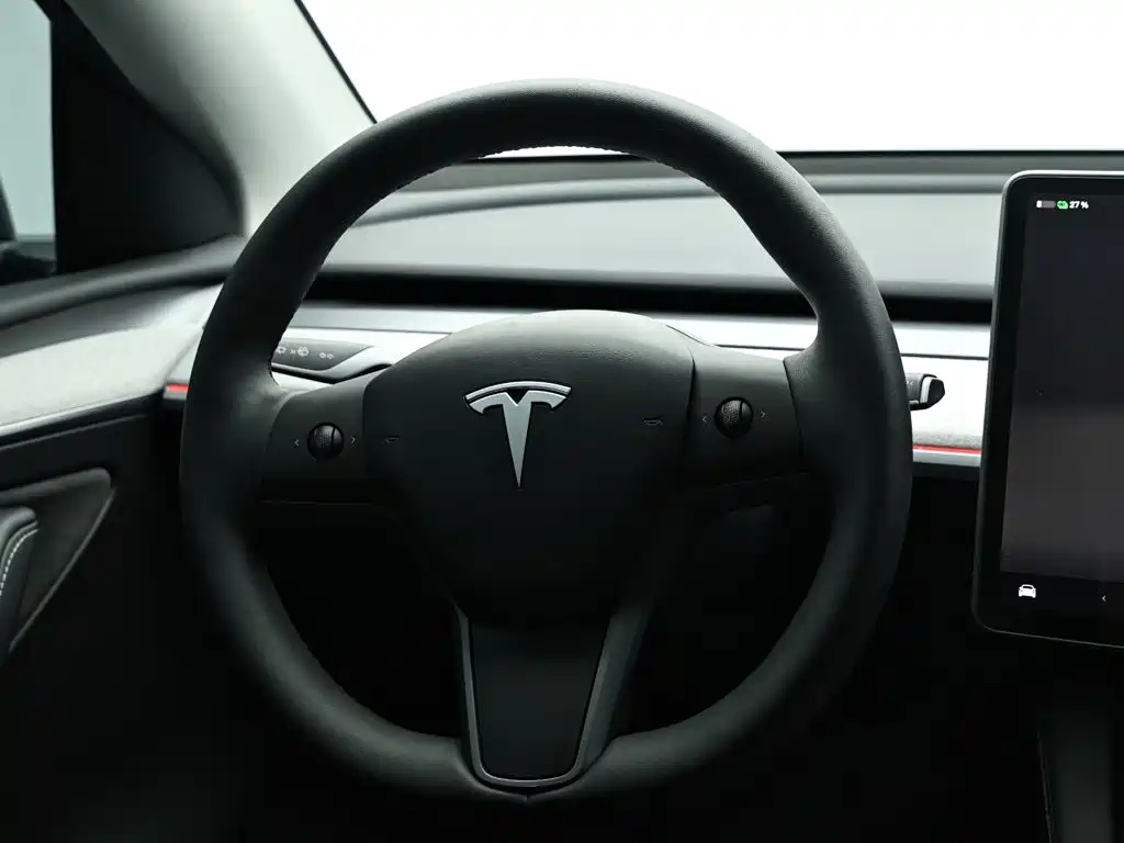 Tesla Model Y — миниатюра 16