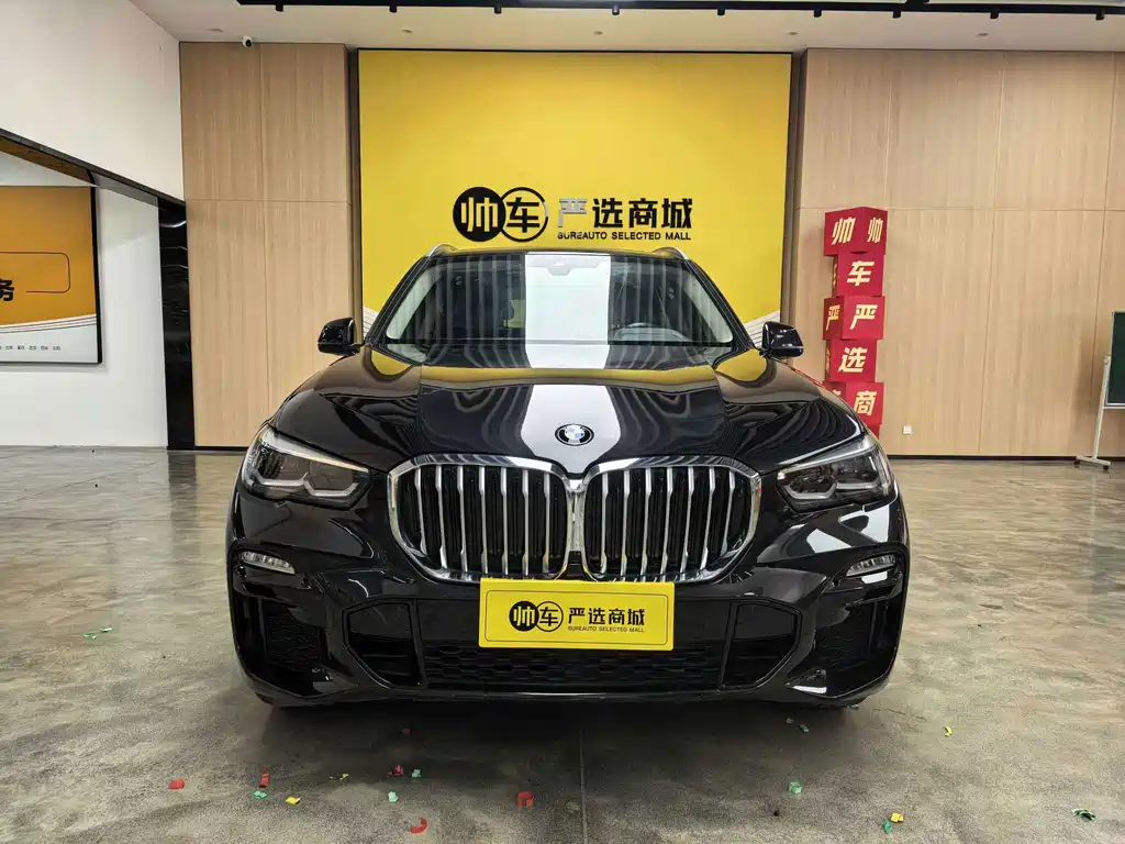 BMW X5 (Import) — миниатюра 2