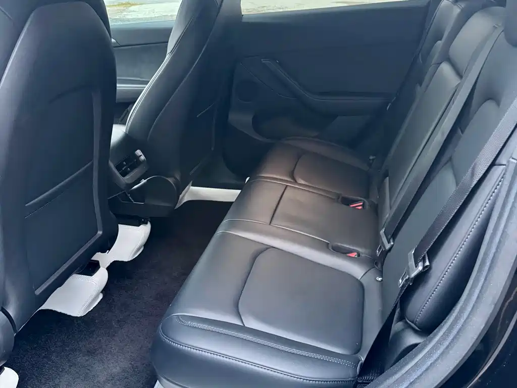 Tesla Model Y — миниатюра 10