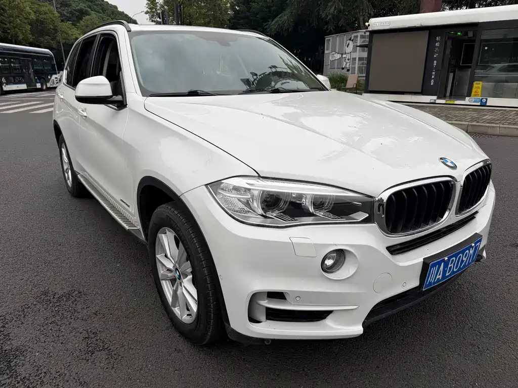 BMW X5 (Import) — миниатюра 3