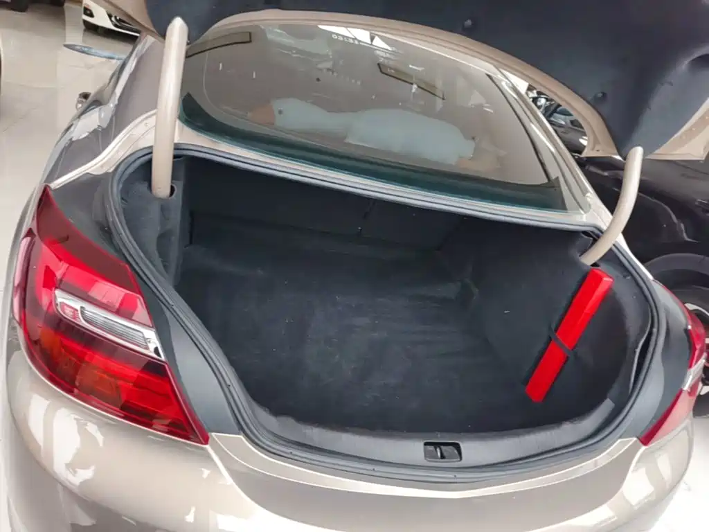 Buick Regal — миниатюра 19