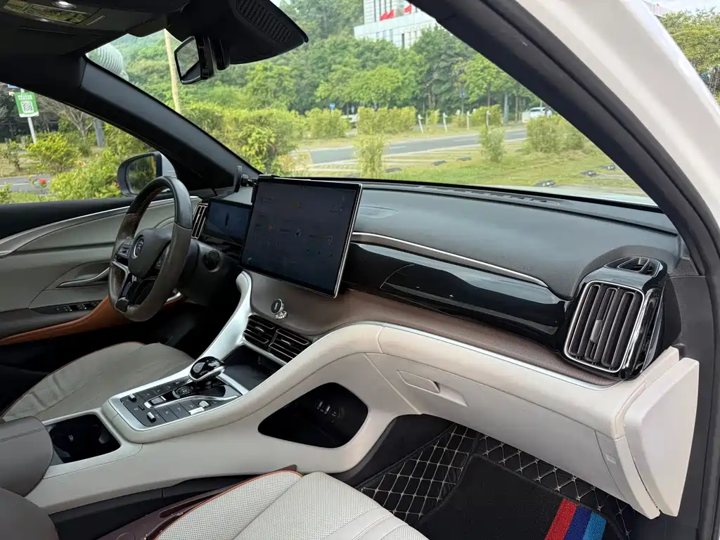 BYD Pro New Energy — миниатюра 13