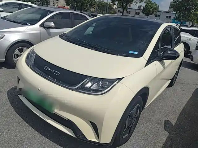 2022 BYD Dolphin
