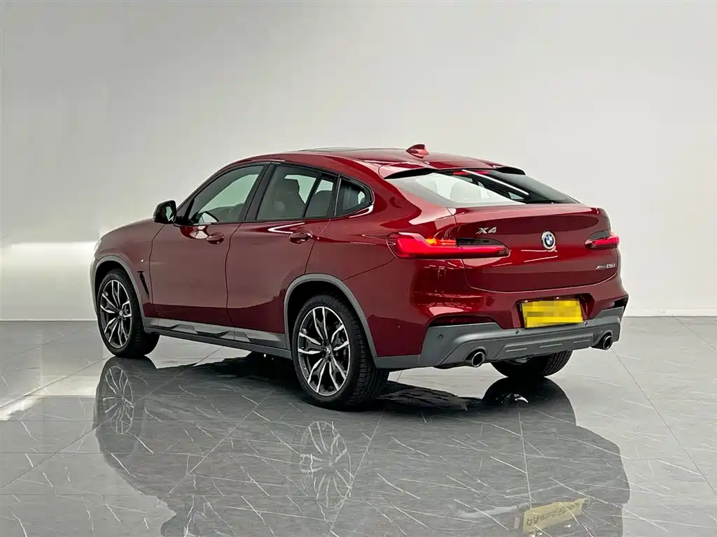 BMW X4 2019 xDrive25i M