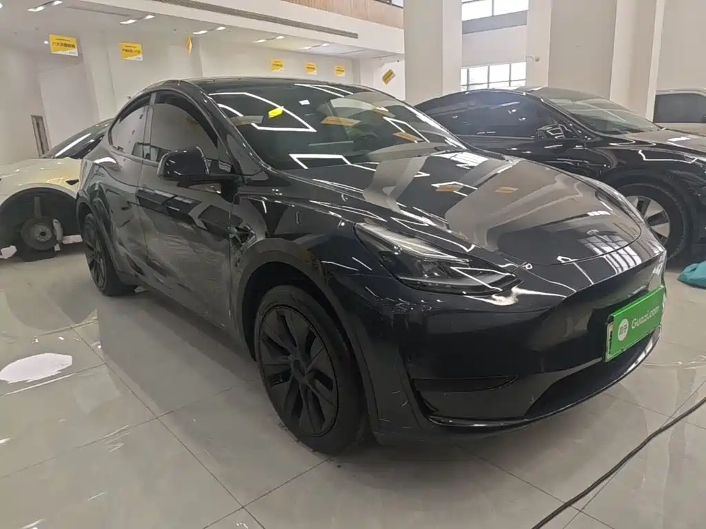 Tesla Model Y — миниатюра 4